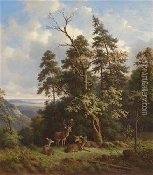 Red Deer In A Woodland Clearing Oil Painting - Wilhelm Reinhardt