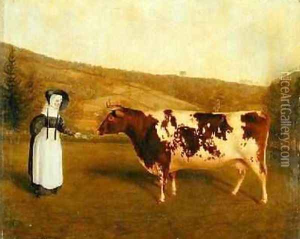 Shorthorn Cow 1840-50 Oil Painting - James Flewitt Mullock