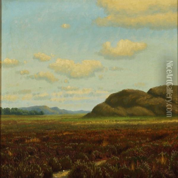 Moor Landscape From Svanninge On Funen Oil Painting - Jens Birkholm