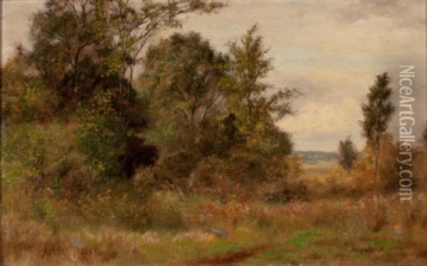 Rural Summer Landscape Oil Painting - Albert Babb Insley
