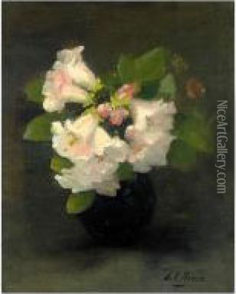 Summer Blooms Oil Painting - Louise Ellen Perman