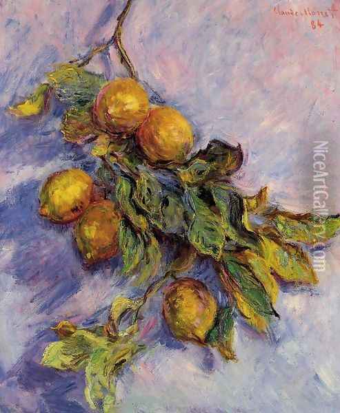 Lemons On A Branch Oil Painting - Claude Oscar Monet