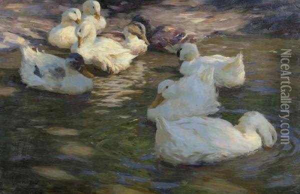 Nine Ducks In A Pond. Oil Painting - Alexander Max Koester