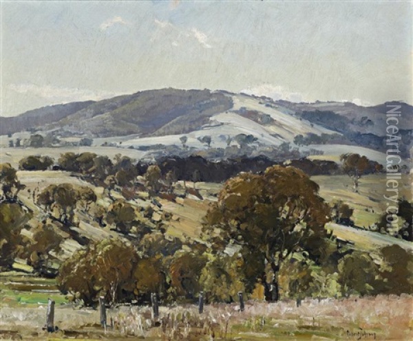 The Hills Near Gundagai, Nsw Oil Painting - Robert Johnson