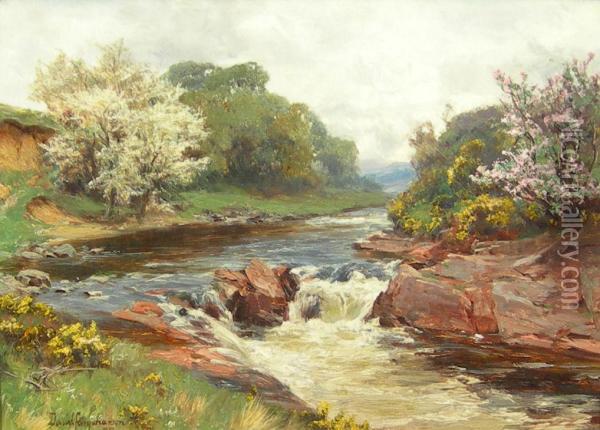 Blossom By The River Oil Painting - David Farquharson