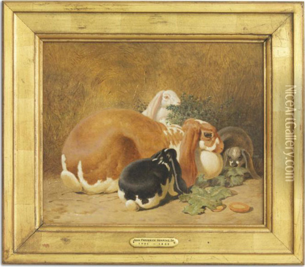 Lop-eared Rabbits Feeding Oil Painting - John Frederick Herring Snr