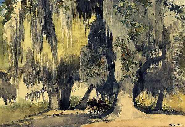 Live Oaks Oil Painting - Winslow Homer