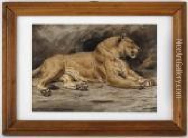 Le Repos Du Lion Oil Painting - Ewert Louis Van Muyden