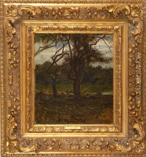 Old Trees Nonquitt Oil Painting - Robert Swain Gifford