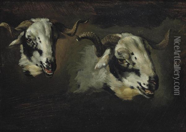 A Study Of Goat Heads Oil Painting - Nicasius Bernaerts