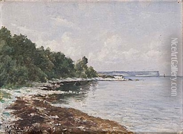 Vy Mot Hogklint, Gotland Oil Painting - Carl Ewald Loenngren