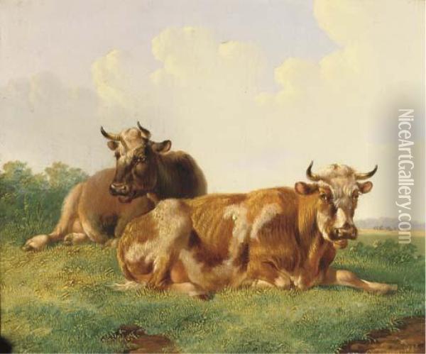 Cattle In A Sunny Meadow Oil Painting - Albertus Verhoesen