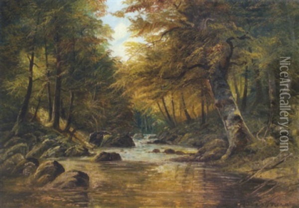 Wildbach Im Herbstwald Oil Painting - Karl Schreder
