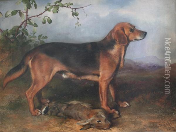 A Hound With A Rabbit Oil Painting - Robert Nightingale
