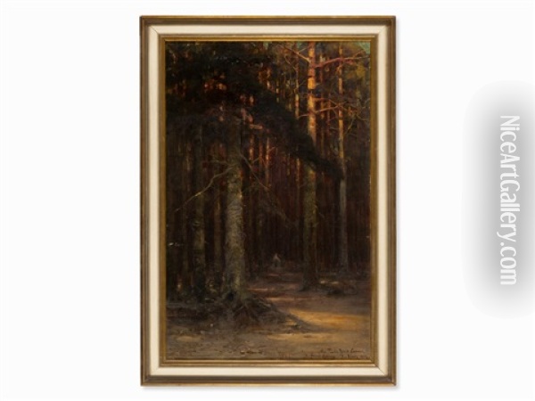 Forest Landscape Oil Painting - Yuliy Yulevich (Julius) Klever