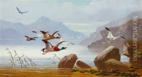 Landschaft In Schottland Mit Auffliegenden Enten Und Mowen Vor Gebirgiger Kuste Oil Painting - Robert Henry Roe