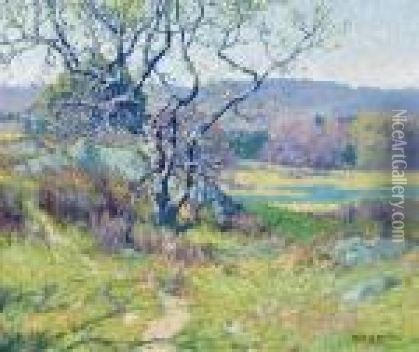 Pathway To The Pond Oil Painting - Maurice Braun
