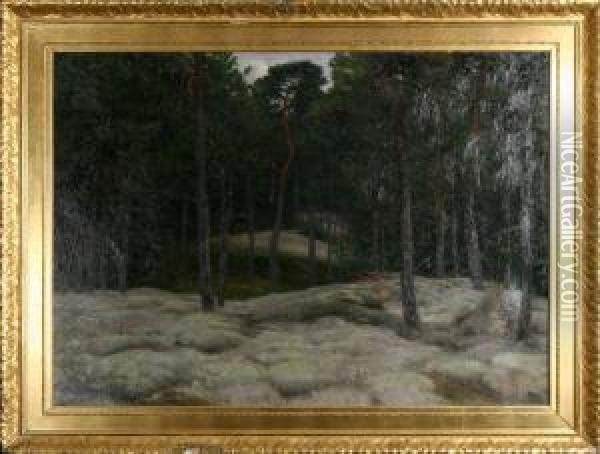 Skogslandskap Oil Painting - Elias Erdtman