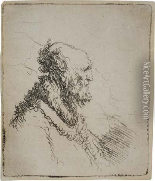 Bald Old Man With A Short Beard, In Profile Right Oil Painting - Rembrandt Van Rijn