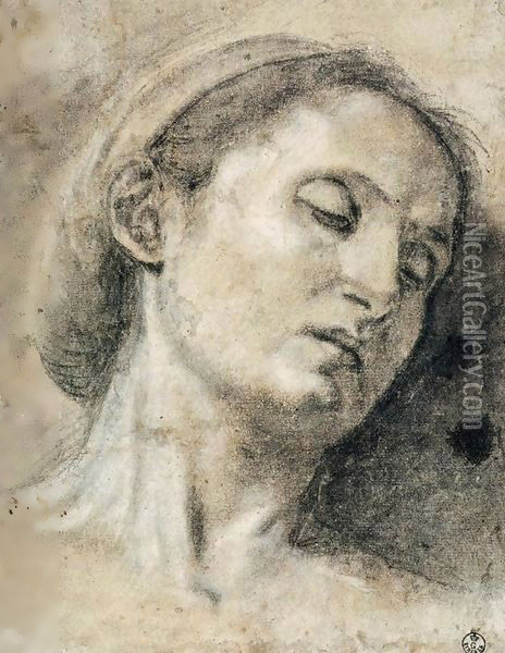 Head of a Woman with Eyes Closed Oil Painting - Giovanni Girolamo Savoldo