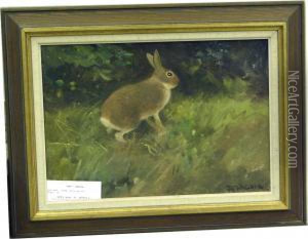 Hare. Oil Painting - M. Wallner