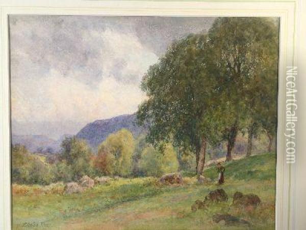 Conwy Valley Landscape With Lady On A Path By A Tree Oil Painting - Josiah Clinton Jones