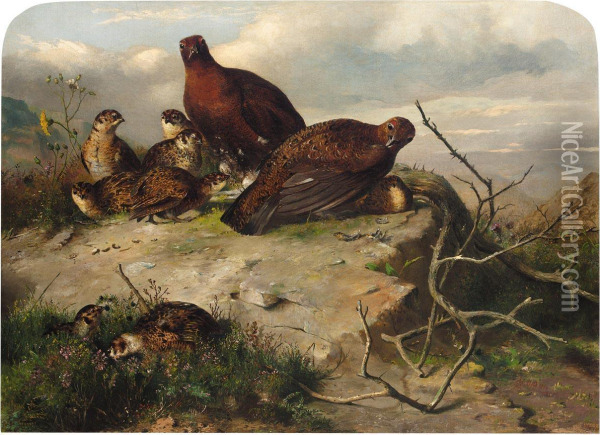 D. 1868

 A Pair Of Red Grouse And Chicks Oil Painting - John Clement Bell