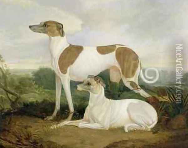 Two Greyhounds in a Landscape Oil Painting - Charles Hancock