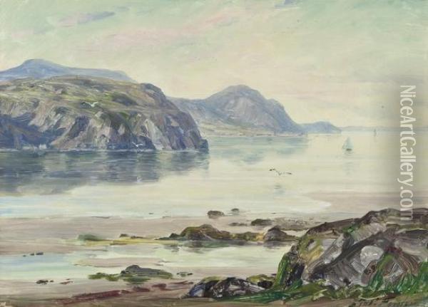 Along The Shoreline, 
Beaumaris Oil Painting - Robert Fowler