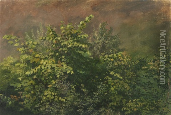 Strauchstudie Oil Painting - Robert Zuend
