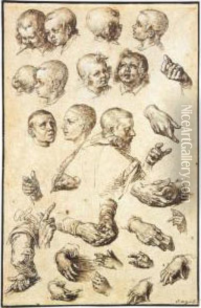 Sheet Of Studies Of Heads, Arms, Hands And A Youth Seen From Behind Oil Painting - Andries Jacobsz. Stock