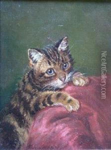 Study Of A Kitten Oil Painting - Wilson Hepple