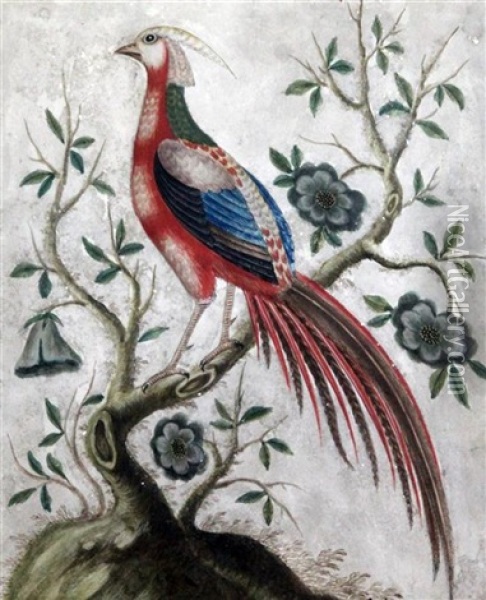 Studies Of Exotic Pheasants Oil Painting - Samuel Dixon