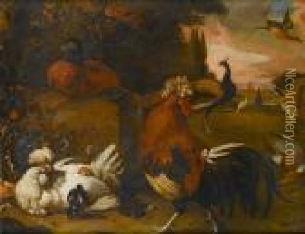 A Hen, A Cockerel, A Peacock, A Pheasant And A Ruddy Shelduck In A Park Landscape Oil Painting - Melchior de Hondecoeter