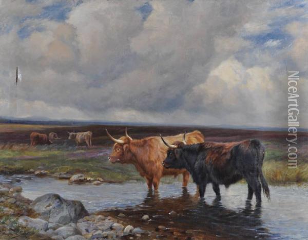 Highland Cattle Watering At The Stream Oil Painting - Wright Barker