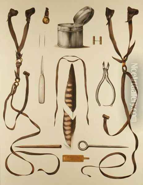 Equipment for Falconry, from Traite de Fauconnerie by H. Schlegel and A.H. Verster de Wulverhorst, 1844-53 2 Oil Painting - Wouw Portman & Van
