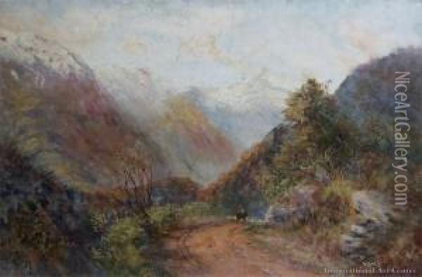 Arthurs Pass Oil Painting - James Peele