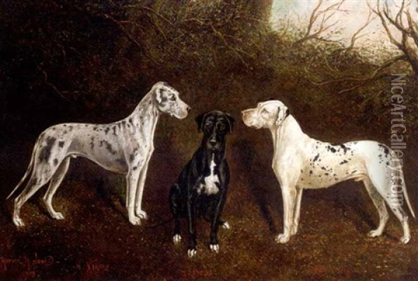 The Great Danes, 