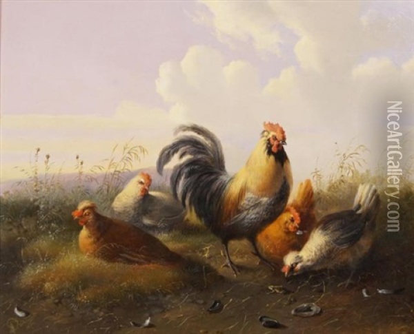 Hoenderhofje Oil Painting - Albertus Verhoesen