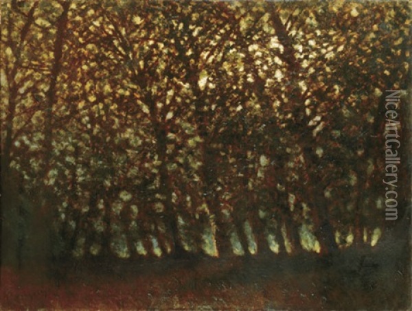 Forest In Autumn Light Oil Painting - Laszlo Mednyanszky