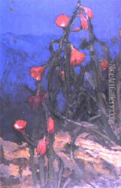 Flowering Cacti Oil Painting - John Macallan Swan