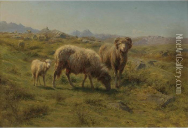 A Sheep, Ram And Lamb With The Flock Oil Painting - Rosa Bonheur