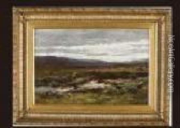 A Ross Shire Moor Oil Painting - David Farquharson