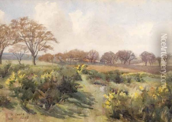 Landscape Oil Painting - David Gould