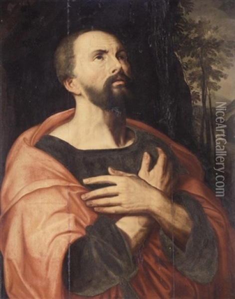 A Male Saint In A Landscape Oil Painting - Michiel Coxie the Elder