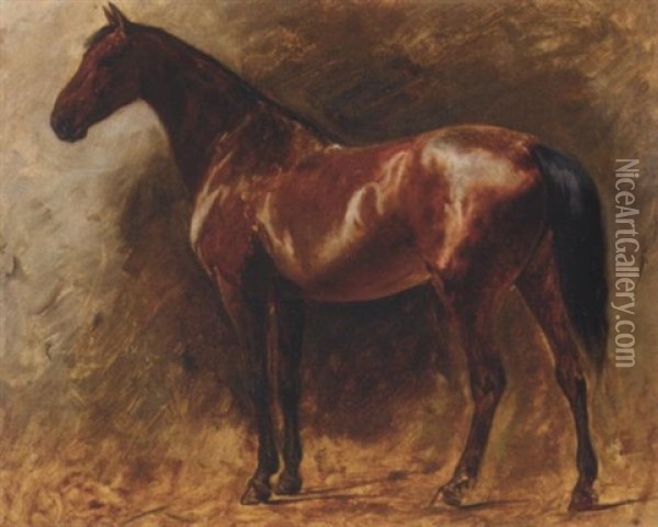 A Chestnut Stallion Oil Painting - Wilhelm Friedrich Kuhnert