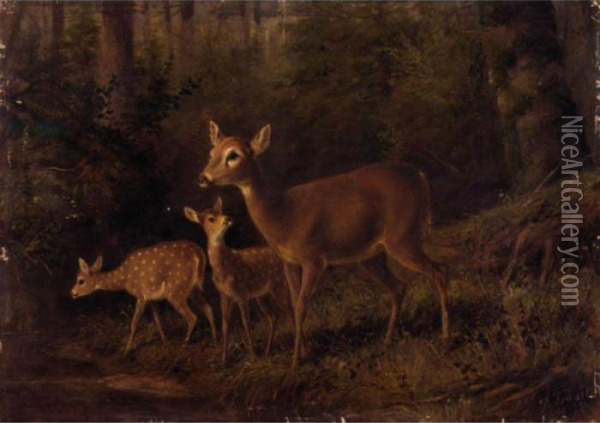 Doe And Two Fawns By A Stream Oil Painting - Arthur Fitzwilliam Tait