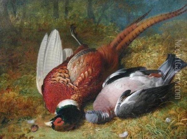 A Still Life Of A Dead Pheasant And A Wood Pigeon Oil Painting - Abel Hold