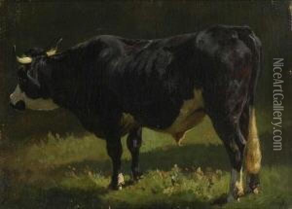 Stier. Oil Painting - Friedrich Johann Voltz