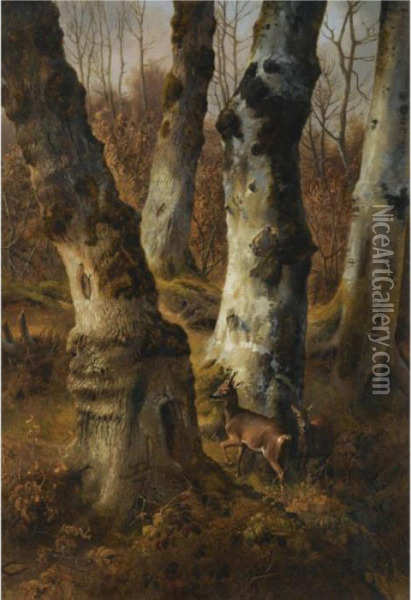 Deer In A Wood Oil Painting - Eugene Joseph Verboeckhoven
